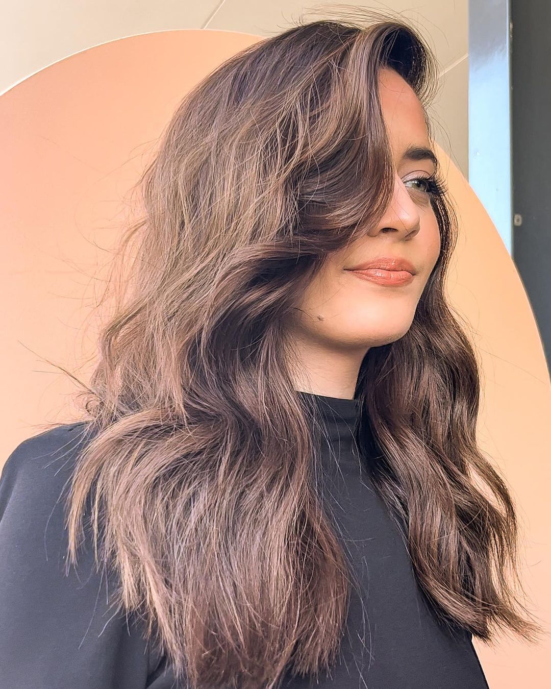 Image Title Alt Image